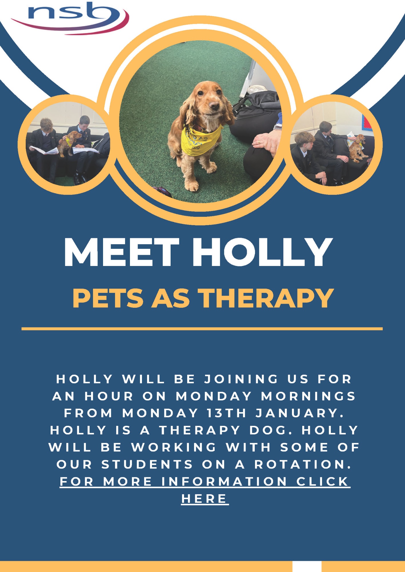 Holly the therapy dog